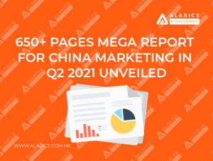 Mega China marketing report