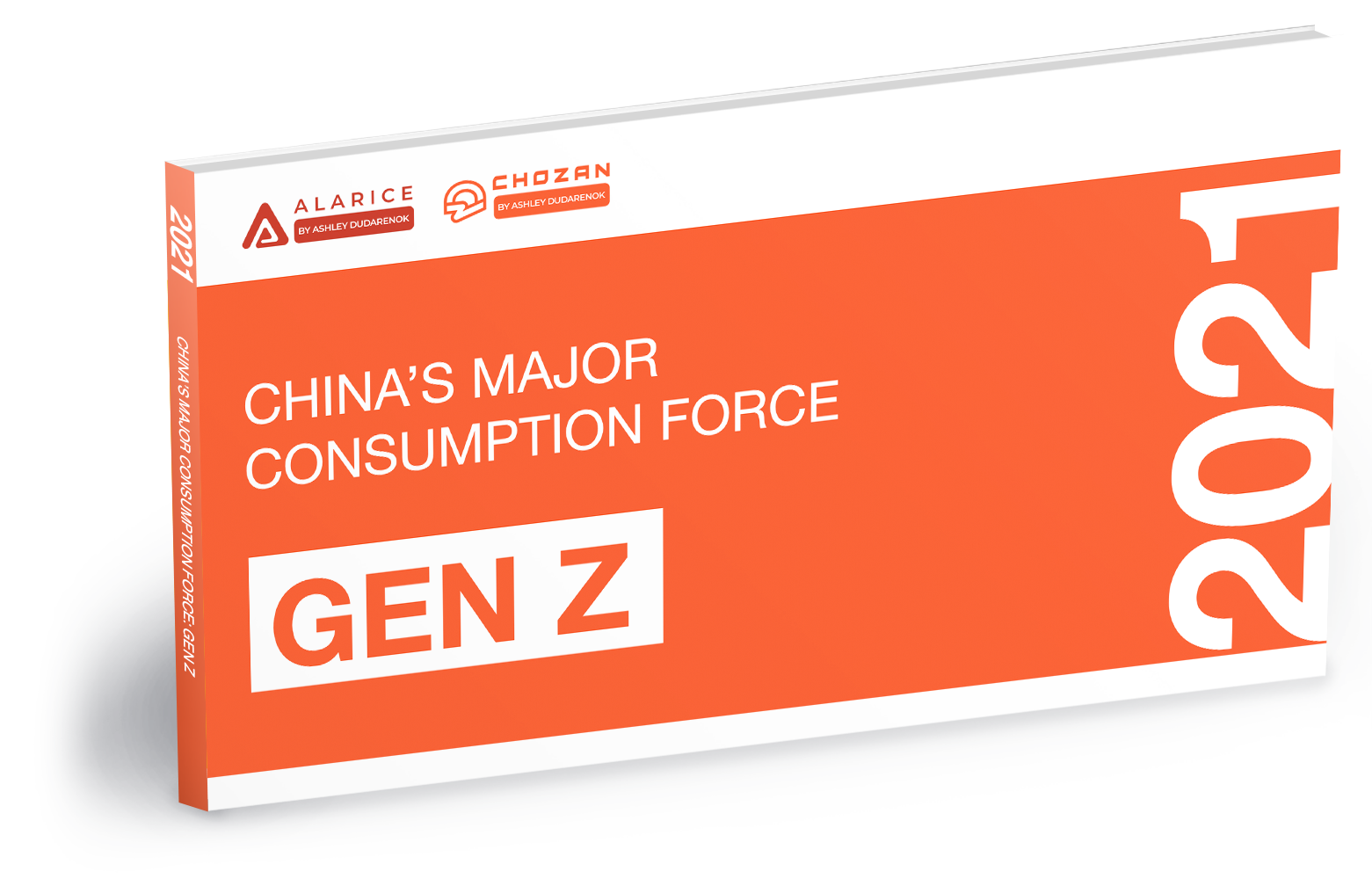 China's major consumption force: Gen Z